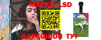 гидра Будённовск