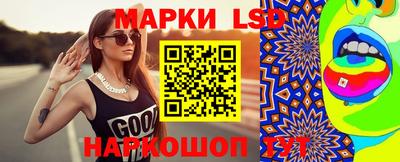 гидра Будённовск