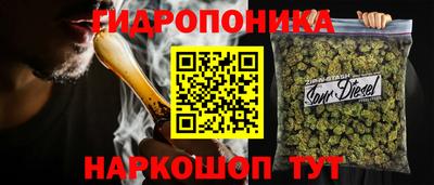 гидра Будённовск